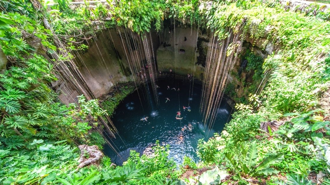 People swimming in a cenote with hanging vines.